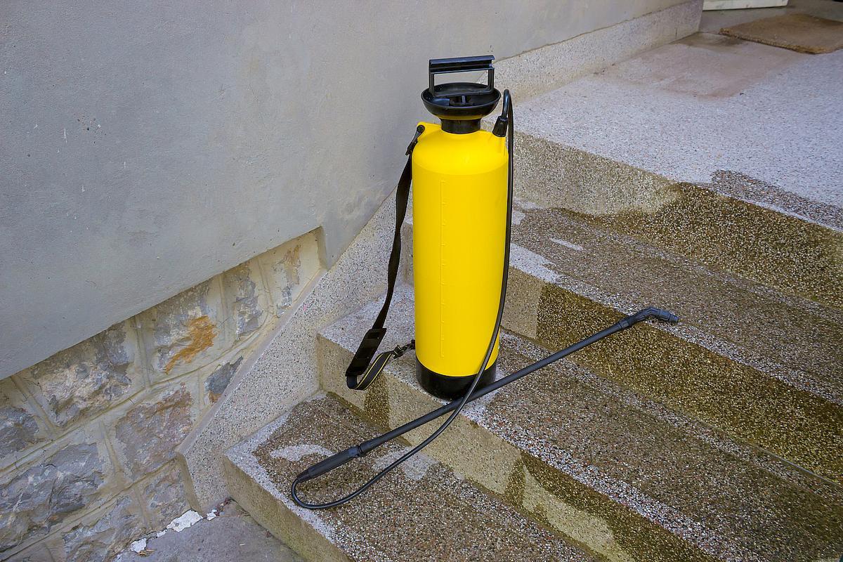 disinsection_id_33051486_c_overcrew55_dreamstime.com_