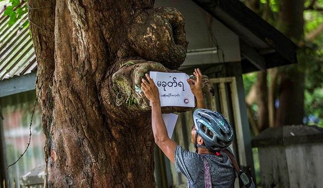 ne coupez pas - protestations etudiantes en Birmanie