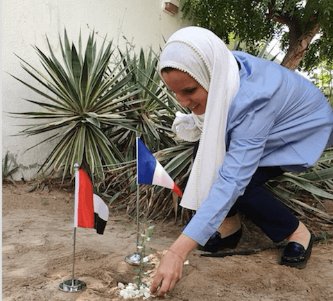 alliance française de Dubai