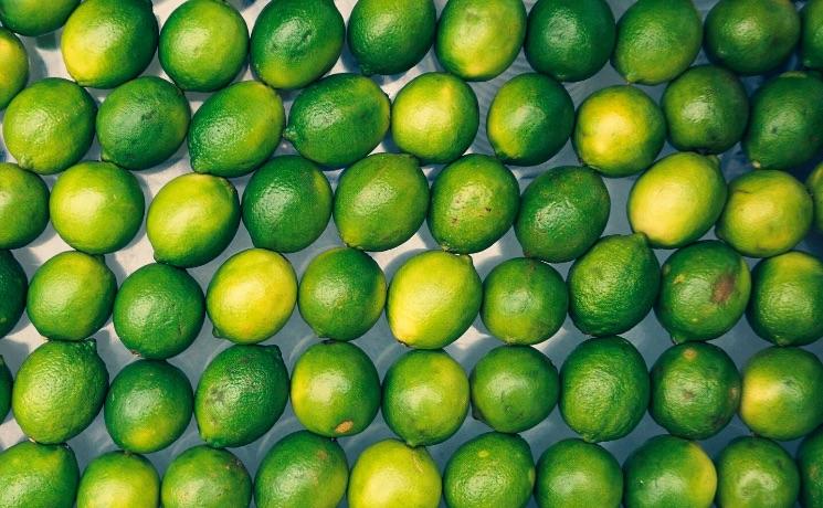 Les citrons verts en Nouvelle-Zélande