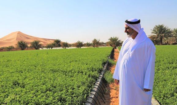 Un nouveau Conseil est formé pour veiller à la sécurité alimentaire aux EAU