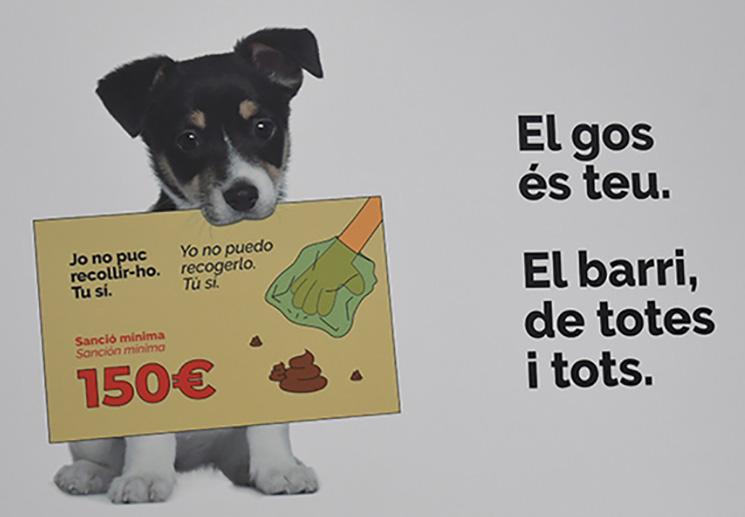 Campagne Excéments Chien Valence