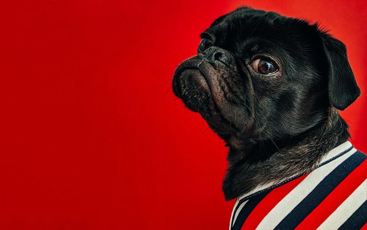 Nationalité française