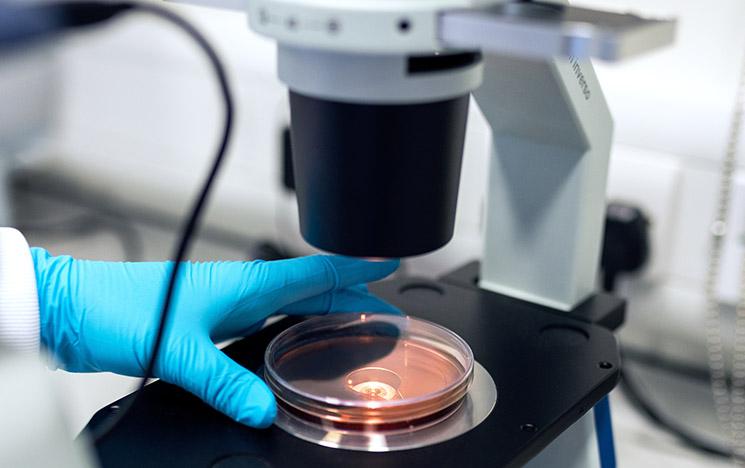 Biologiste Coronavirus covid-19 Valencia