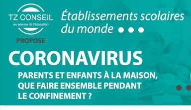 webinar tz conseil coronavirus