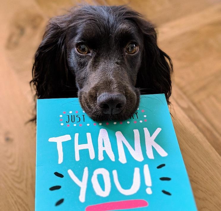 Audience record magazine français londres lecteurs