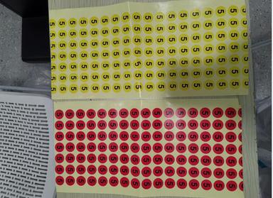 coronavirus-shanghai-etiquette-passeport