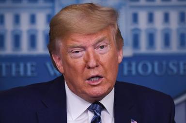 Donald Trump cartes vertes