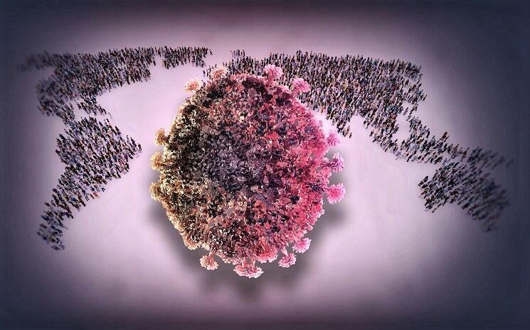 Découvertes sur Sars-Cov-2 coronavirus