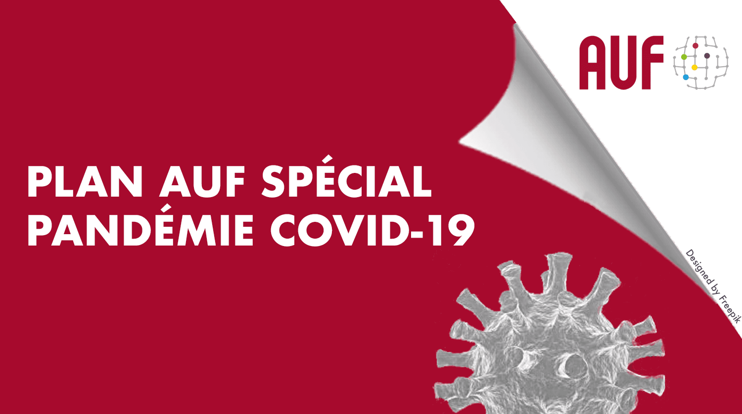 91800271_10163719815225647_2192215440330063872_o