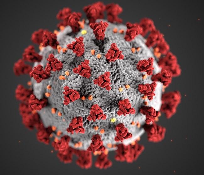 CDC-coronavirus