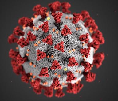 CDC-coronavirus