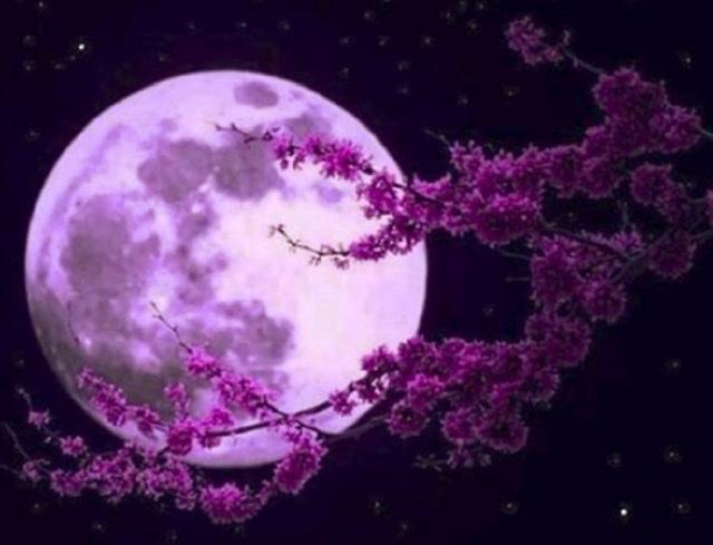 Super moon Avril2020 COVID-19 Fenêtre #QuedateEnCasa