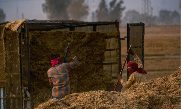 agriculture inde covid-19