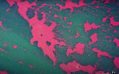 méduses el nido palawan