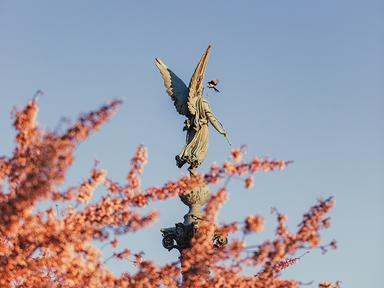 photo semaine Yan Du Copenhague