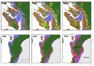 La disparition des mangroves en Birmanie. En haut dans l'Arakan, en bas dans le Tanintharyi. En bleu clair, la mangrove.