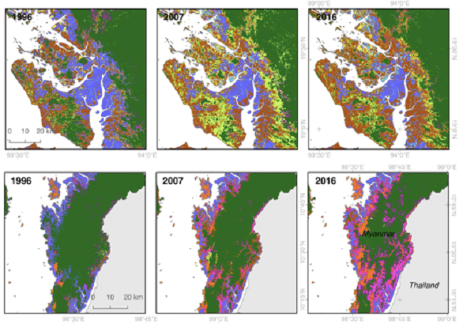 La disparition des mangroves en Birmanie. En haut dans l'Arakan, en bas dans le Tanintharyi. En bleu clair, la mangrove.