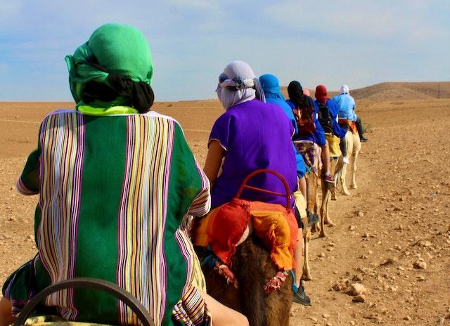 Le saviez-vous ? Une formation vous apprend l’art de monter à dos de dromadaires