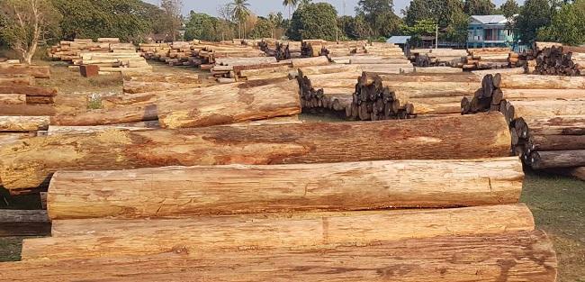 Bois de teck birman, en Europe