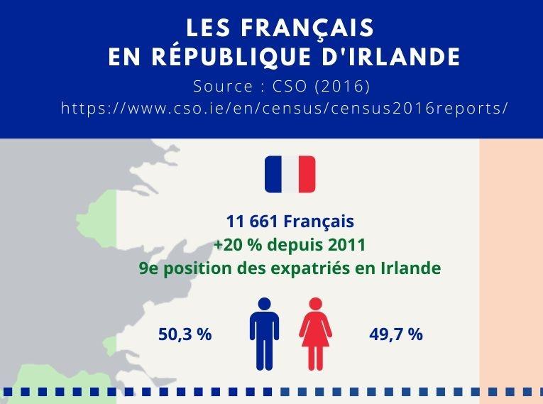 Infographie Francais en Irlande