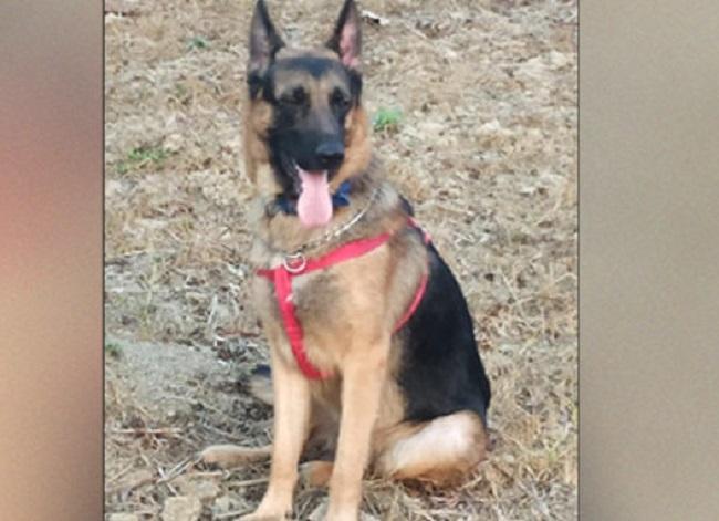 Jackie berger allemand