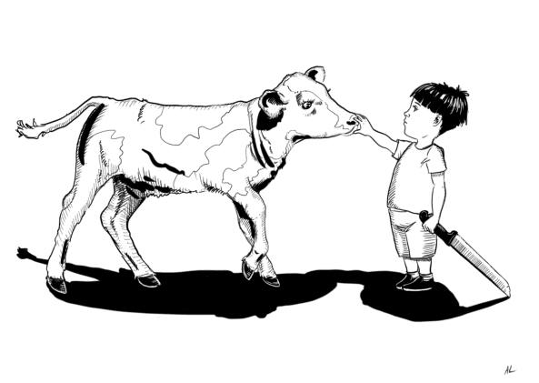 #veau #tuer #enfant #cruauté envers les animaux