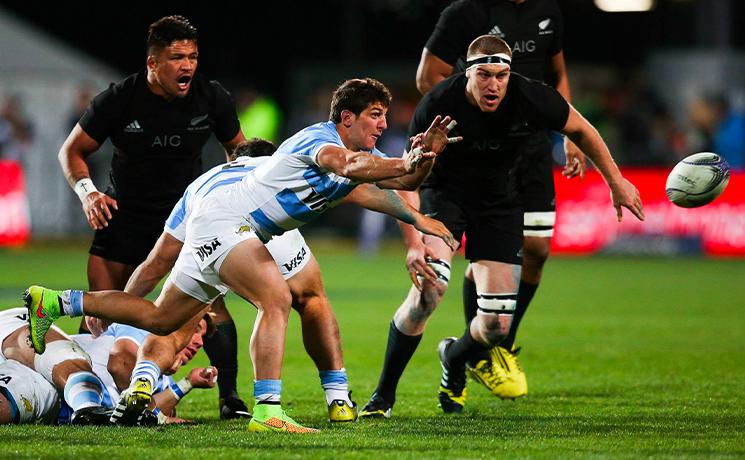 Rugby Championship World Rugby Nouvelle-Zélande