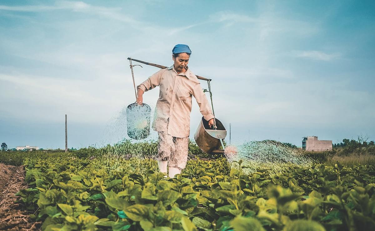 ferme coronavirus reconfinement ouvriers