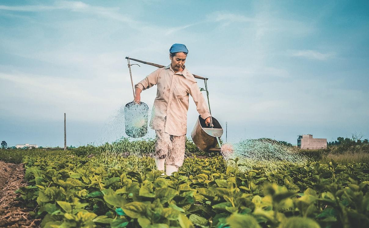 ferme coronavirus reconfinement ouvriers
