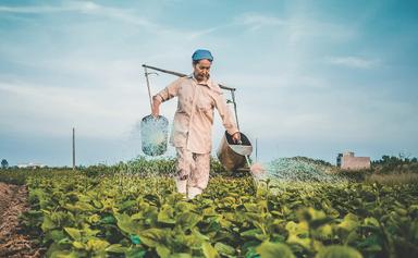 ferme coronavirus reconfinement ouvriers