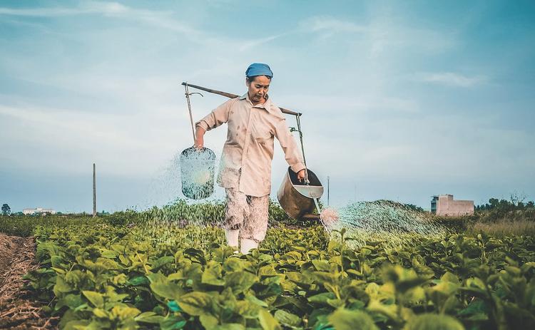 ferme coronavirus reconfinement ouvriers