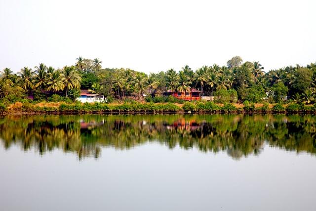 Le littoral de Goa