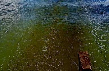 Des eaux noircies aux hydrocarbures autour de l'île de Kyaukpyu en Birmanie