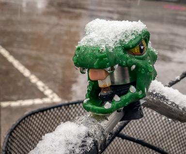 Melinda Graper sonnette vélo Copenhague Mia Kali Thea