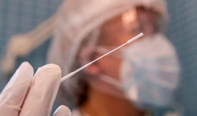 covid19 Andalousie Tests