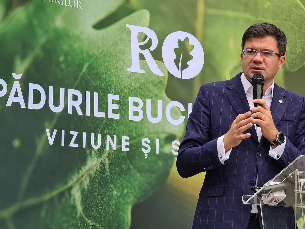 forêts autour des grandes villes seront des aires protégées écologie roumanie