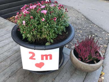 Coronavirus recommandations suède