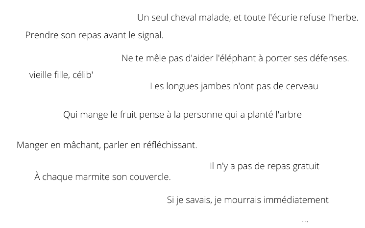 expressions vietnamiennes traduction