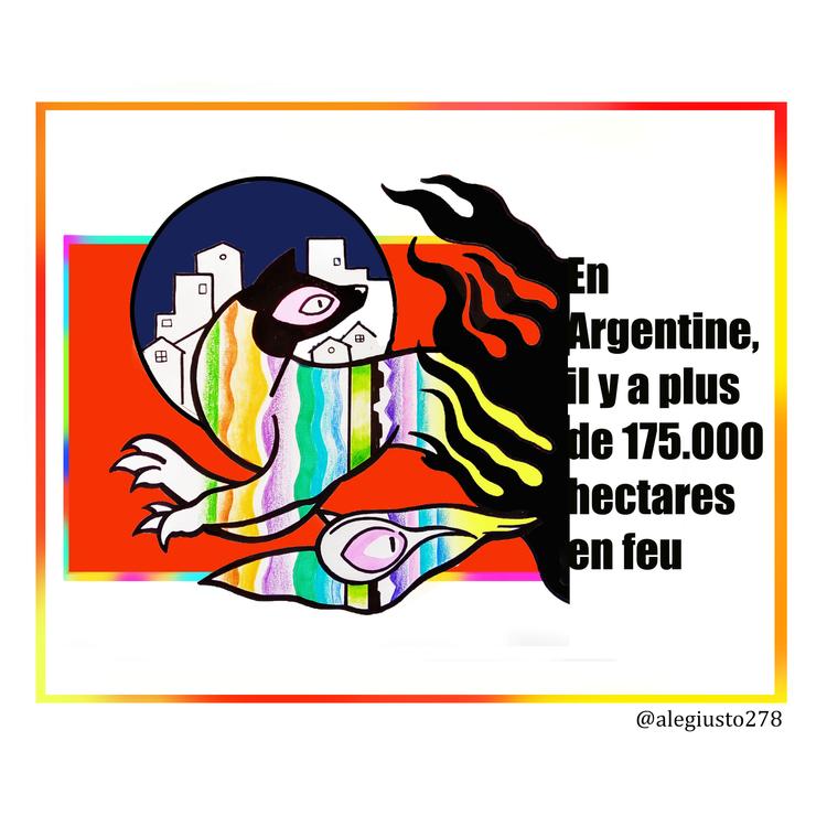 Incendies forêts argentine