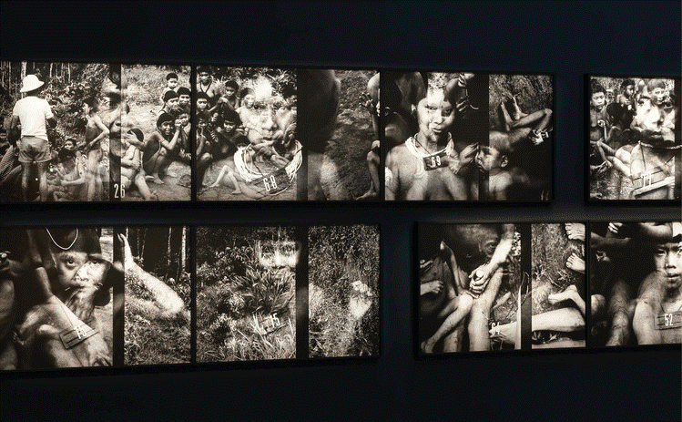 Triennale fondation cartier