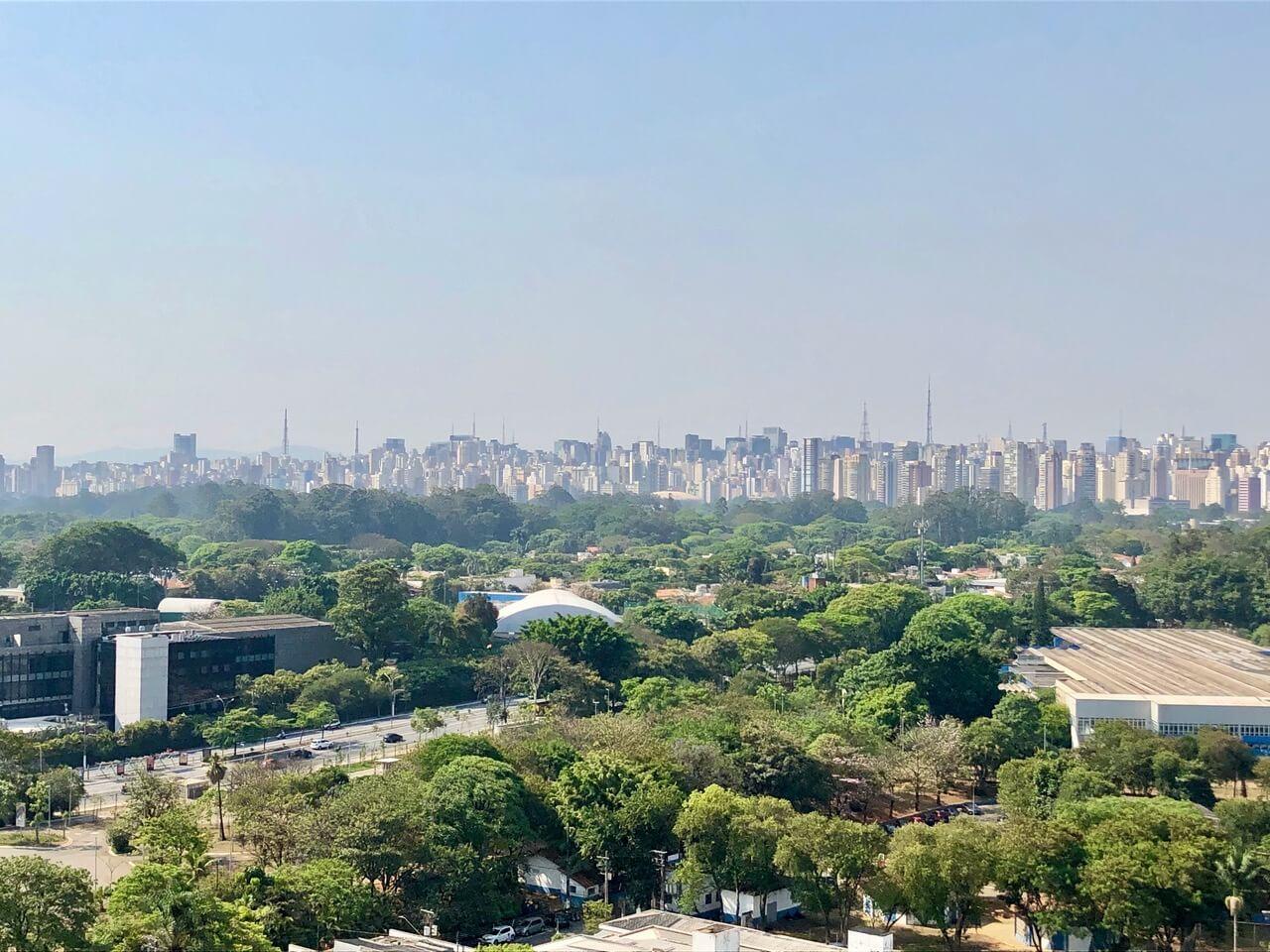 Sao Paulo Paulista Ibirapuera
