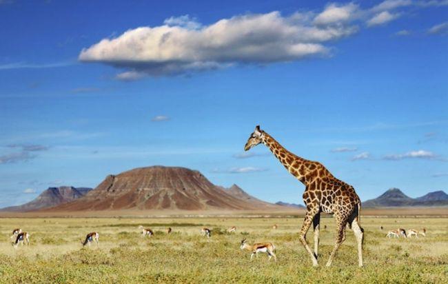 destinations sans quarantaine résidents EAU