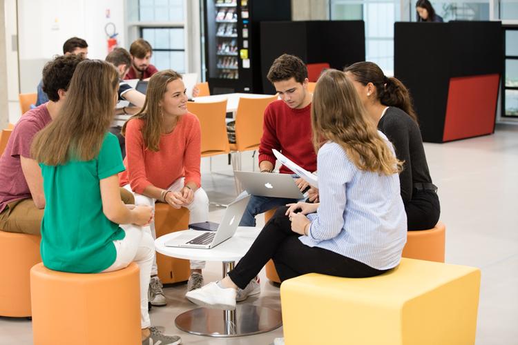 IESEG programme grande école