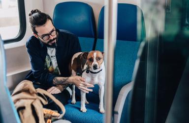 animaux Brexit voyage UE