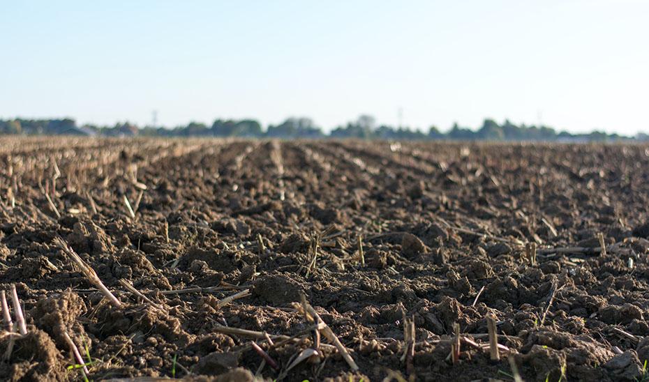 IFAPA Grand Prix Syntec