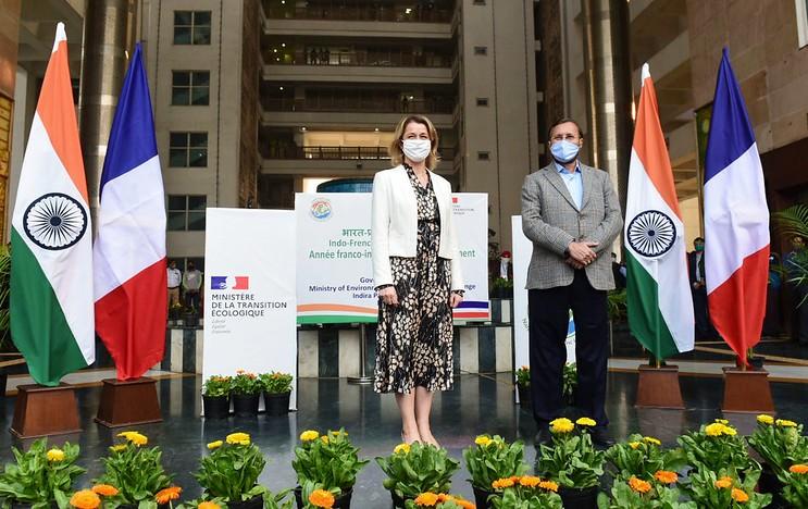 biodiversite ecologie pompili