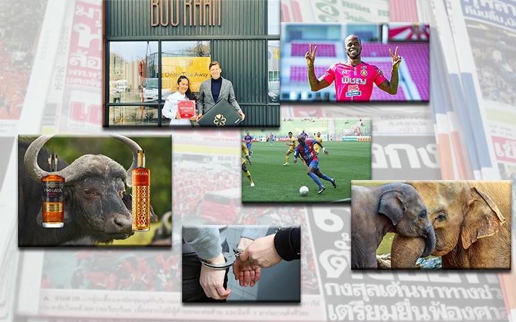 revue de presse francophone