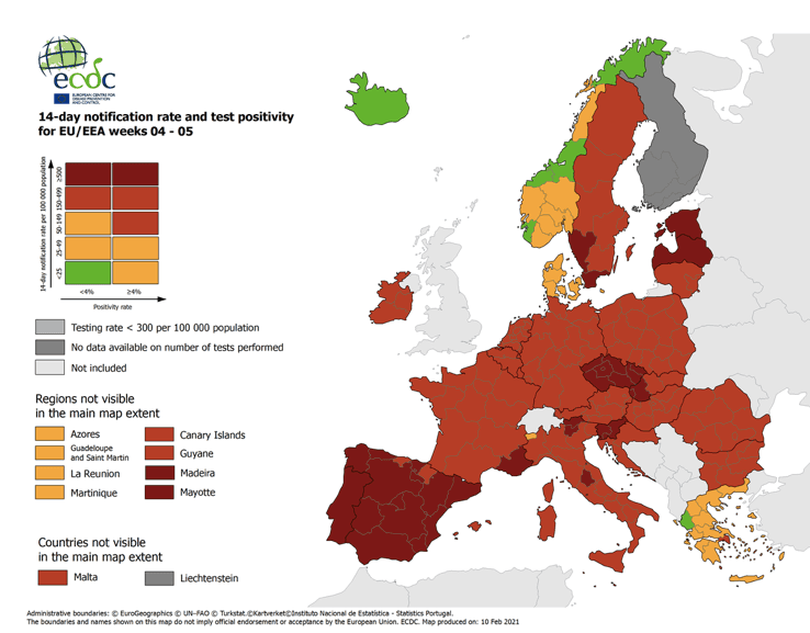 corona suède mesure