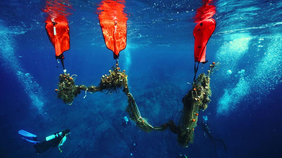 polution rescousse covid 19